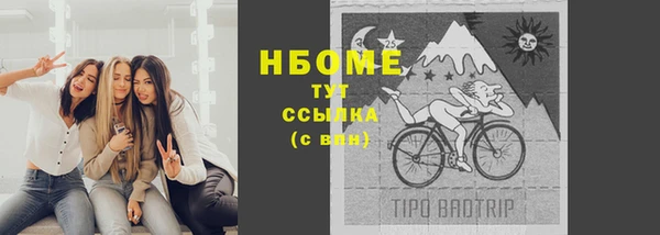 стафф Алексин