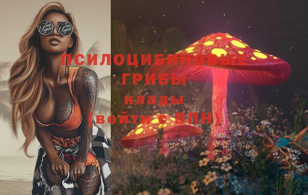 стафф Алексин