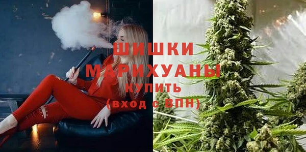 ешки Алзамай