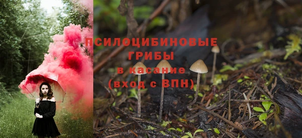 ешки Алзамай