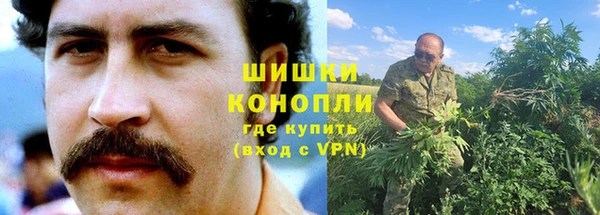 ешки Алзамай