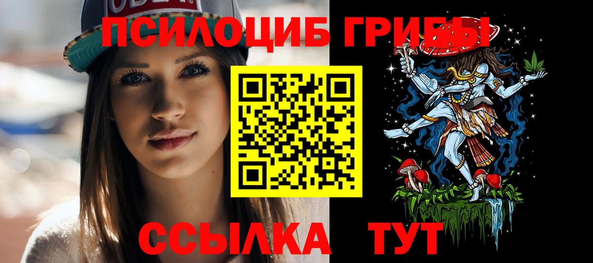 Галлюциногенные грибы Psilocybe  Вход с VPN  Петровск 